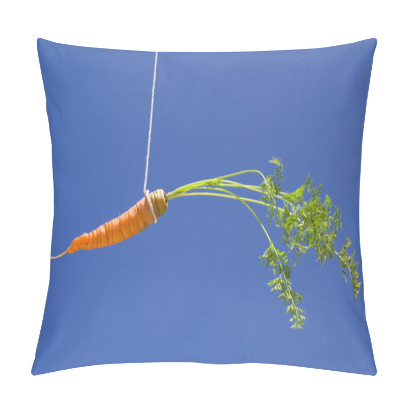 Personality  The Bait Pillow Covers