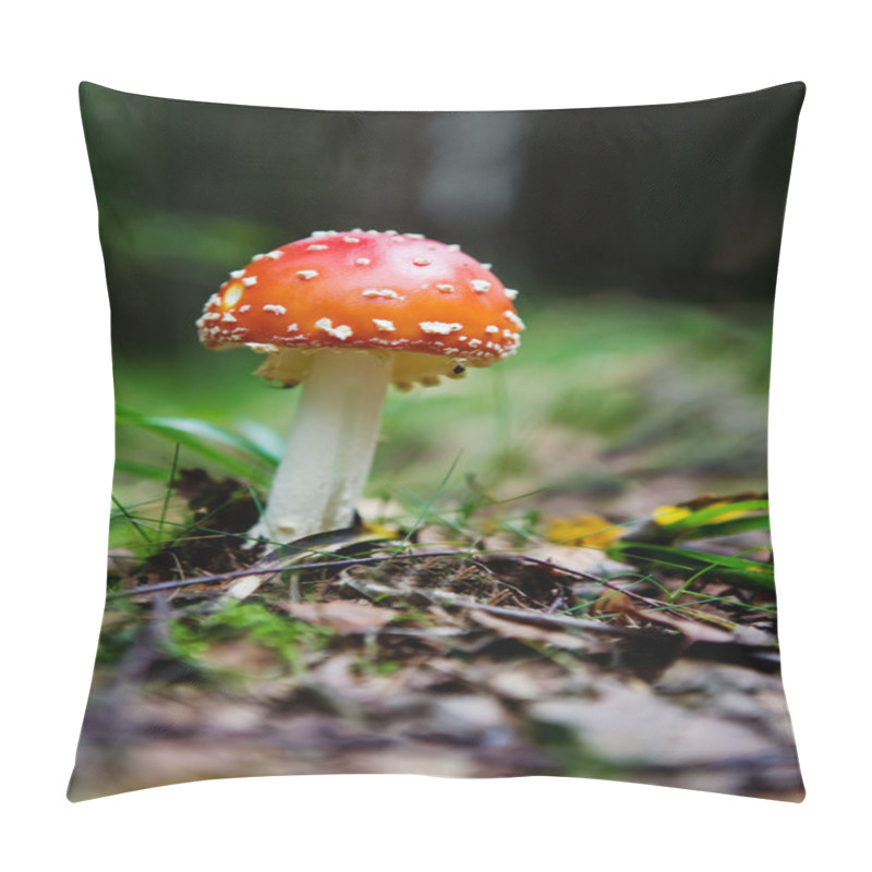 Personality  Fly Amanita Pillow Covers