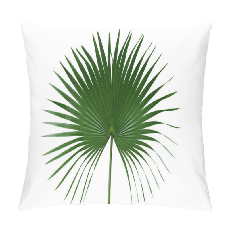 Personality  Palm With Circular Leaves Or Fan Palm Frond Tropical Leaf Nature Green Pattern Isolated On White Background, Clipping Path Included. Pillow Covers