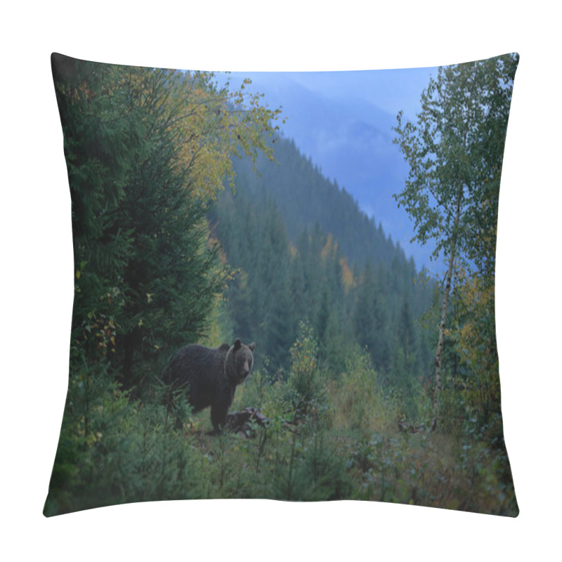 Personality  Bear Hidden In Forest Pillow Covers