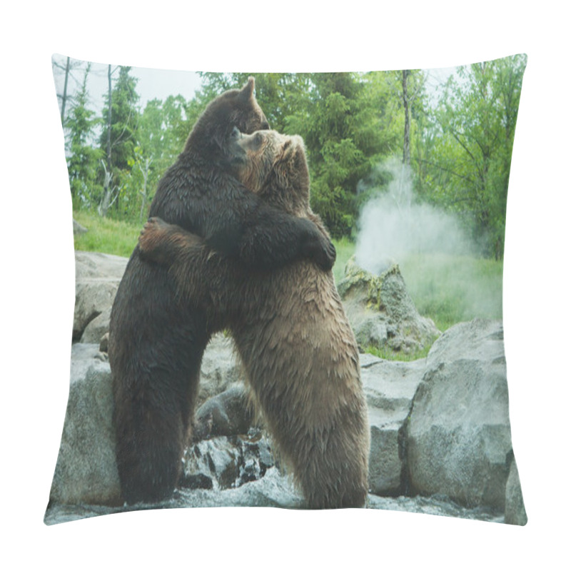 Personality  Two Grizzly (Brown) Bears Fight Pillow Covers