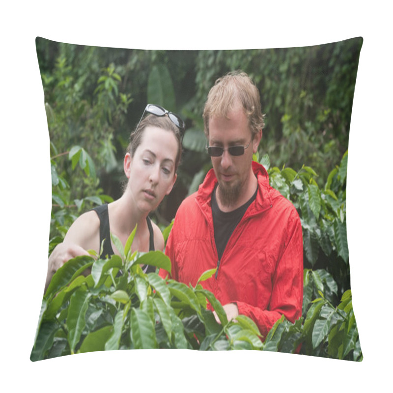 Personality  American And European Couple On Coffee Plantation In Costa Rica Pillow Covers