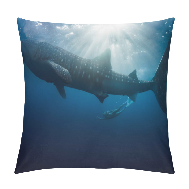 Personality  Giant Whale Shark And Diver Woman Swims In Blue Ocean. Pillow Covers