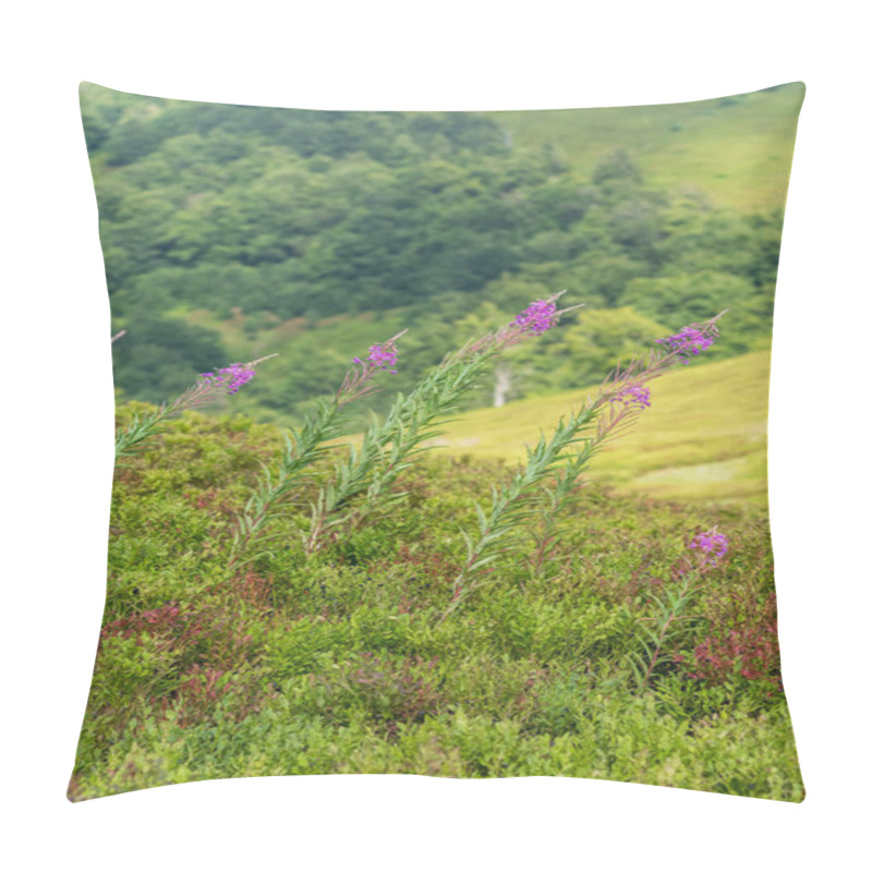 Personality  Capturing The Vibrant Display Of Fireweed Flowers In Full Bloom On A Meadow In The Carpathian Mountains, Showcasing The Beauty Of The Alpine Region Pillow Covers