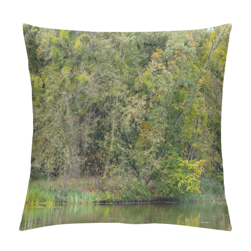 Personality  Lush Green Forest By The Calm Riverbank With Reflections In Water On A Peaceful Autumn Day. Concept Of Serene Nature, Peaceful Landscapes, And Tranquil Outdoor Scenes Pillow Covers