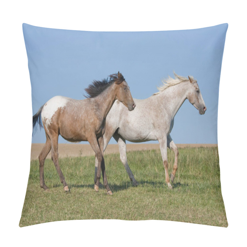 Personality  Two Beautiful Appaloosa Horses Running On Meadow Pillow Covers