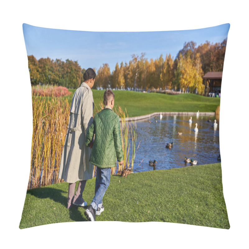 Personality  Back View Of Mother And Son In Outerwear Walking Together Near Lake With Swans And Ducks, Nature Pillow Covers