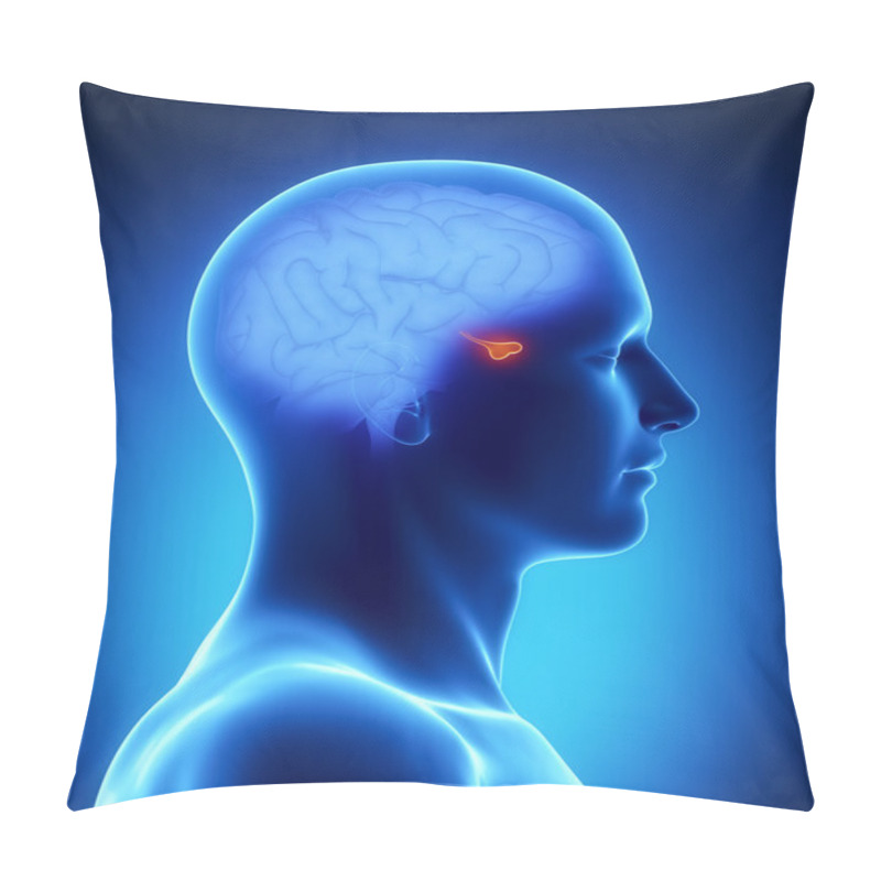 Personality  PITUARY - Human Brain Part Pillow Covers