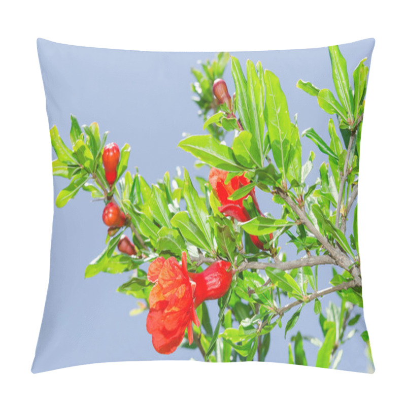 Personality  Branches Of Spring Blossomin Pomegranate Sunlit Red Flowers Pillow Covers