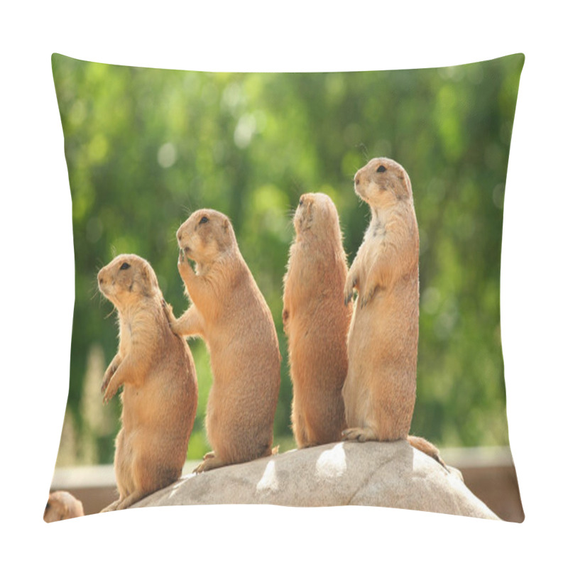 Personality  GRoup Of Prairie Dogs Standing On Top Of Rock Pillow Covers