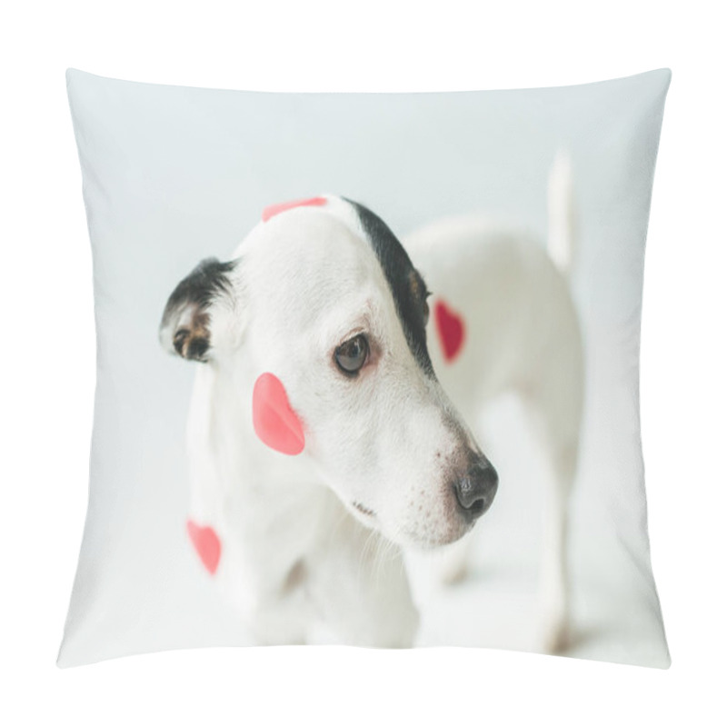 Personality  Jack Russell Terrier Dog In Red Hearts For Valentines Day, On White Pillow Covers