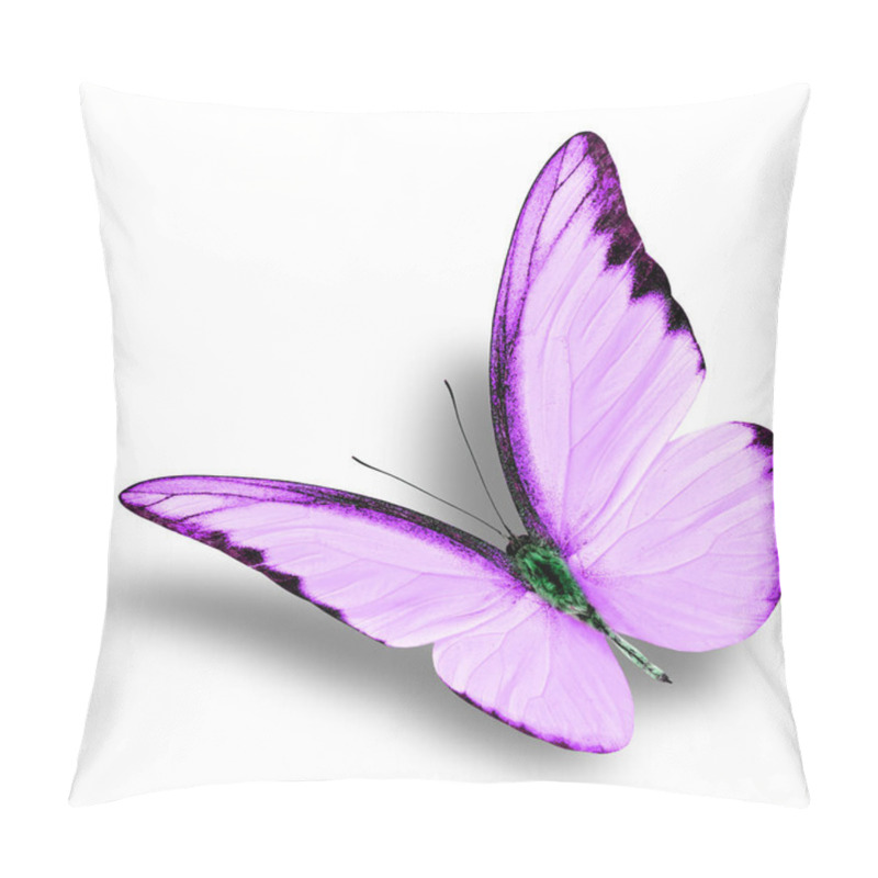 Personality  Beautiful Flying Purple Butterfly On White Background With Soft Shadow (Chocolate Albatross In Exotic Fancy Color Profile) Pillow Covers