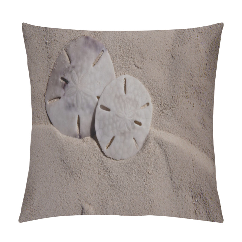 Personality  Two Sanddollars Pillow Covers