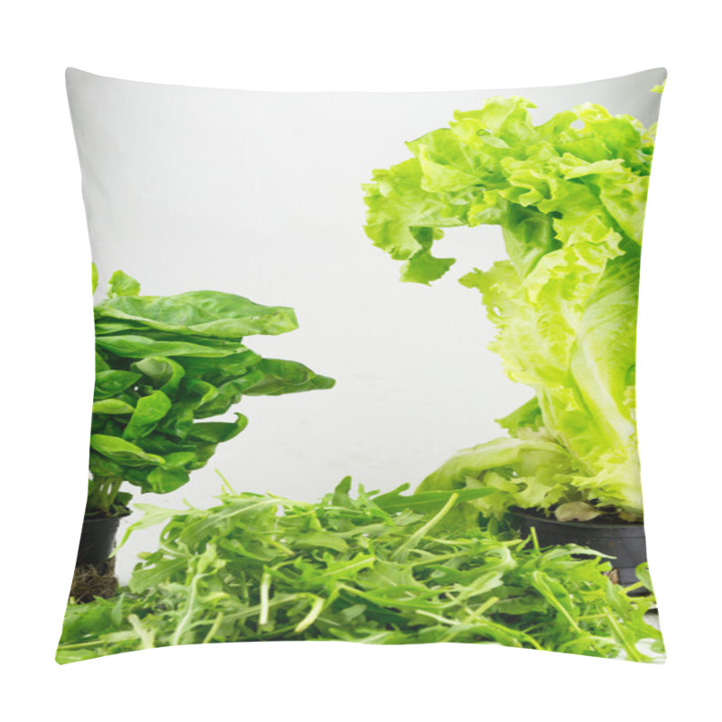 Personality  Arugula, Salad And Spinach Pillow Covers