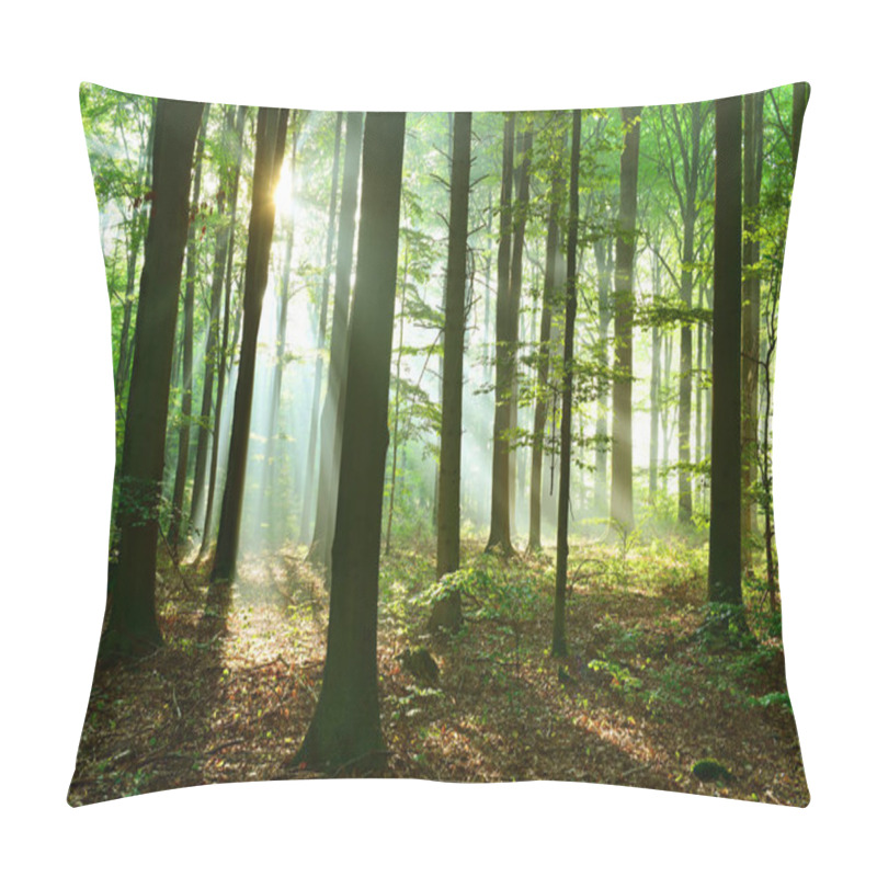 Personality  Beautiful Sunbeams In Autumn Deciduous Forest Pillow Covers