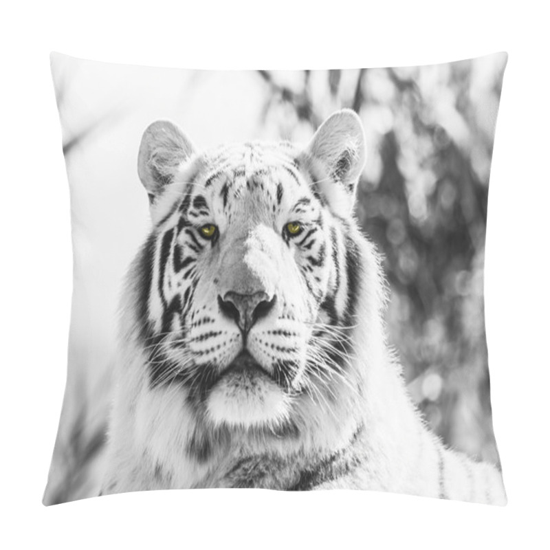 Personality  Black And White Majestic Tiger Portrait Pillow Covers