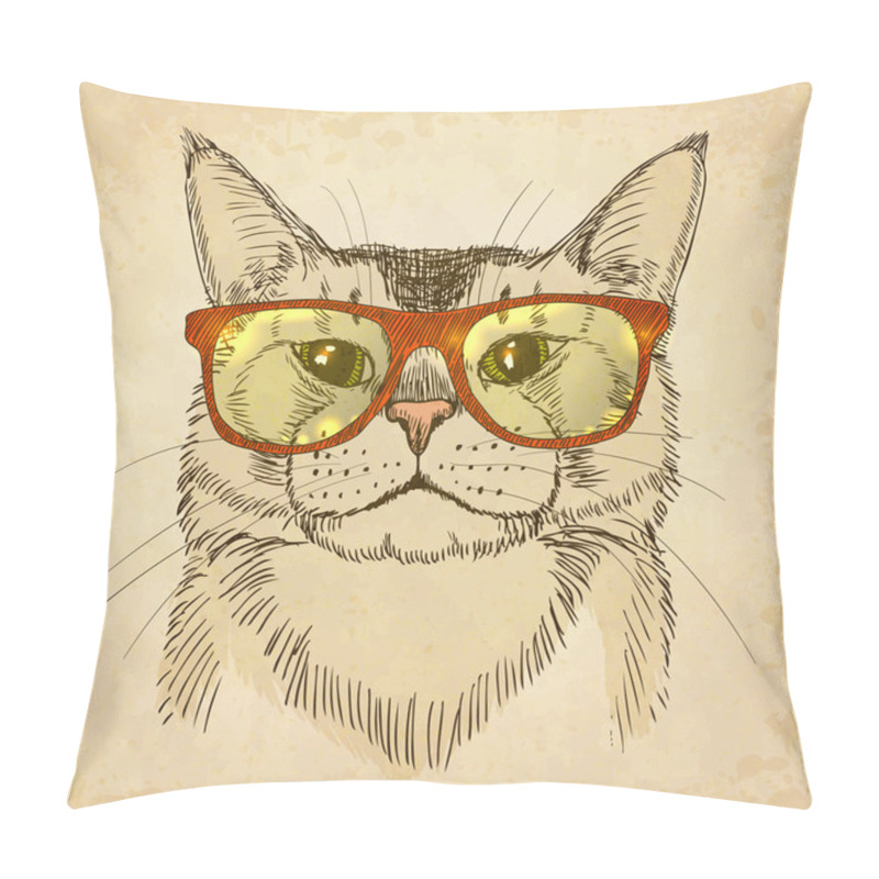 Personality  Hipster Cat Pillow Covers