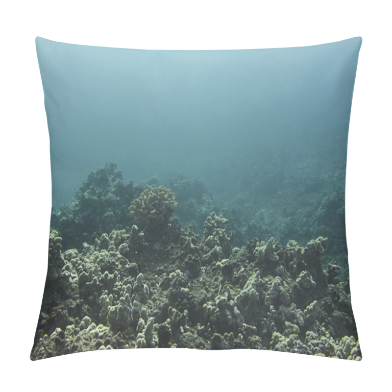 Personality  Coral Reef Pillow Covers