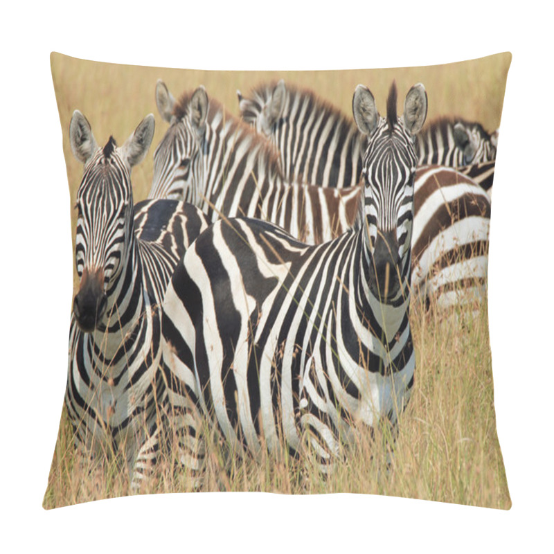 Personality  Zebras In Grass Pillow Covers