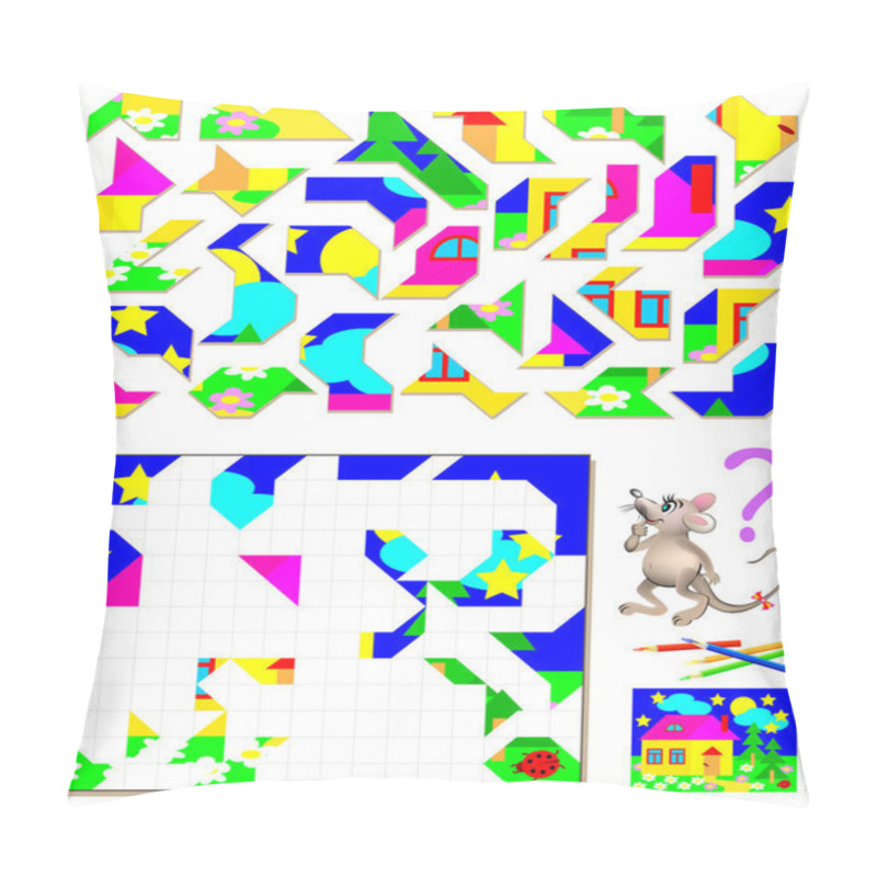 Personality  Logic Puzzle Game. Need To Find The Correct Place For Each Detail And Paint Them In Corresponding Colors. Pillow Covers