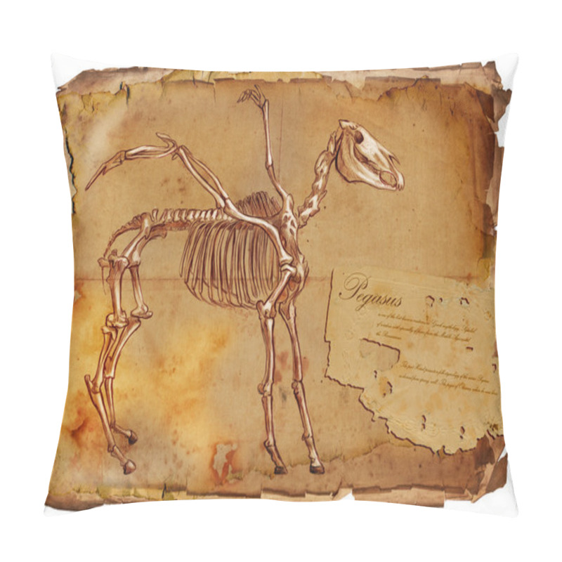 Personality  Legendary Animals And Monsters: PEGASUS Pillow Covers