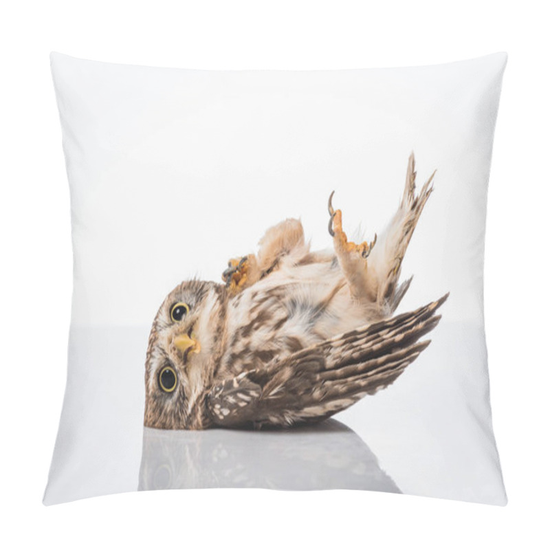 Personality  Cute Wild Owl Lying On Surface Isolated On White Pillow Covers