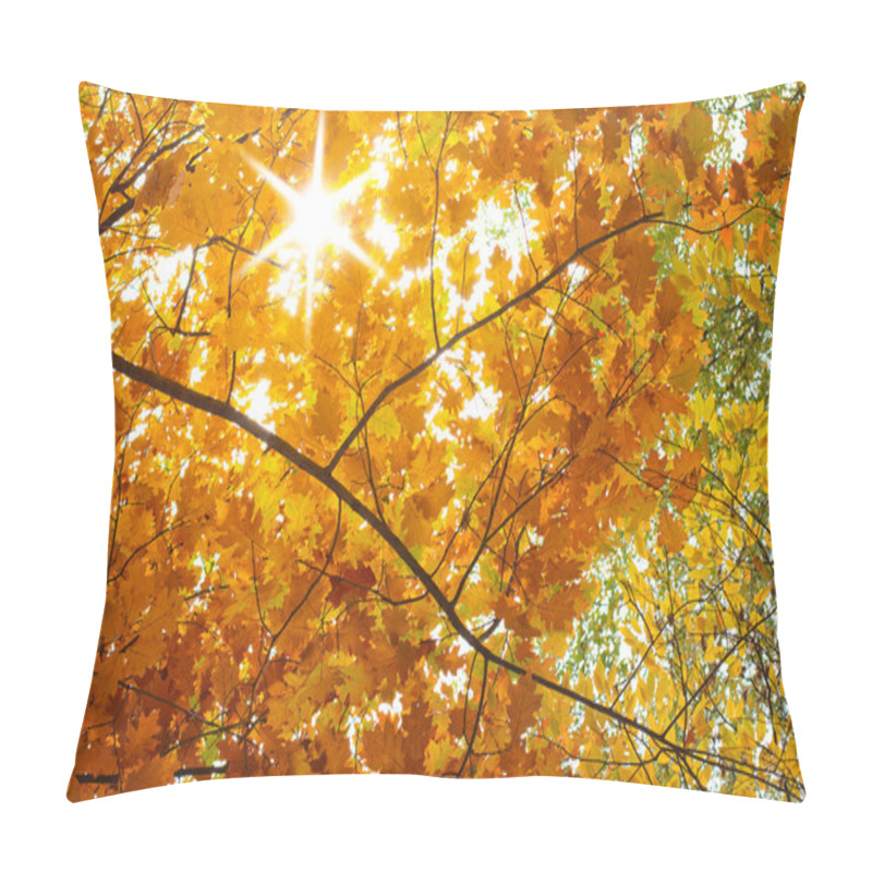 Personality  Autumn Landscape Pillow Covers