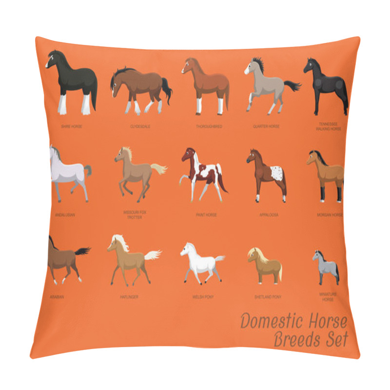 Personality  Domestic Horse Breeds Set Cartoon Vector Illustration Pillow Covers