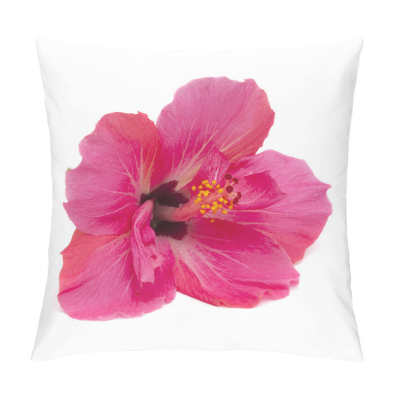 Personality  Pink Hibiscus Flower Isolated Pillow Covers