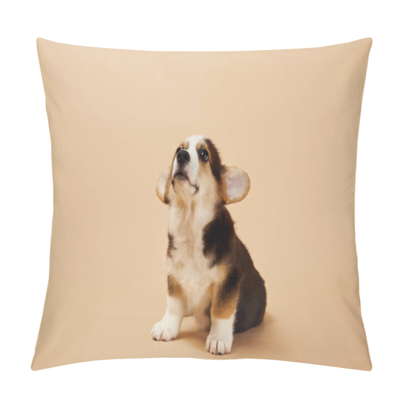 Personality  Adorable Welsh Corgi Puppy On Beige Background Pillow Covers