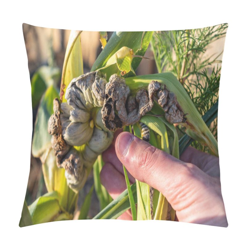 Personality  Diseased Corn Called Corn Smut, Pathogenic Fungus, Ustilago Maydis, In Mexico It Is Called Huitlacoche Or Mexican Truffle Pillow Covers