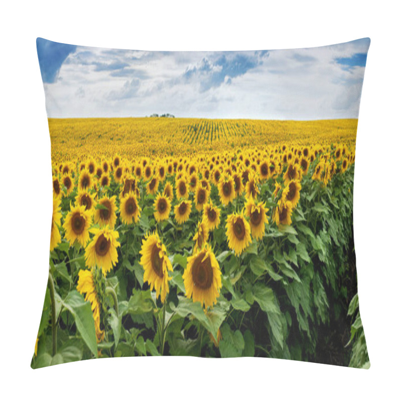 Personality  Wonderful Panoramic View Field Of Sunflowers Pillow Covers