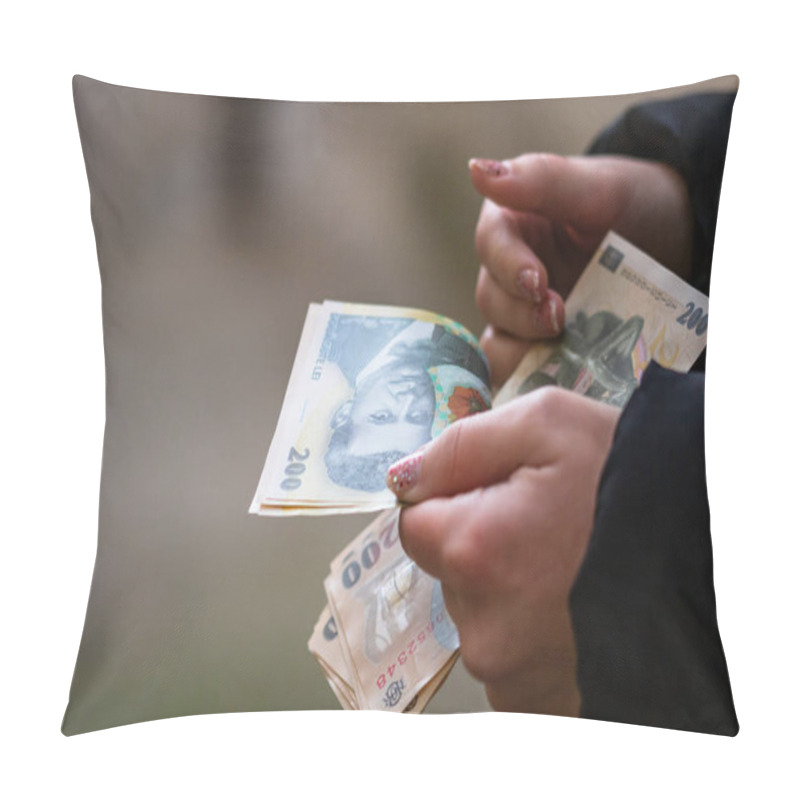 Personality  Selective Focus On Detail Of LEI Banknotes. Counting Or Giving Romanian LEI Banknotes. World Money Concept, Inflation And Economy Concept Pillow Covers