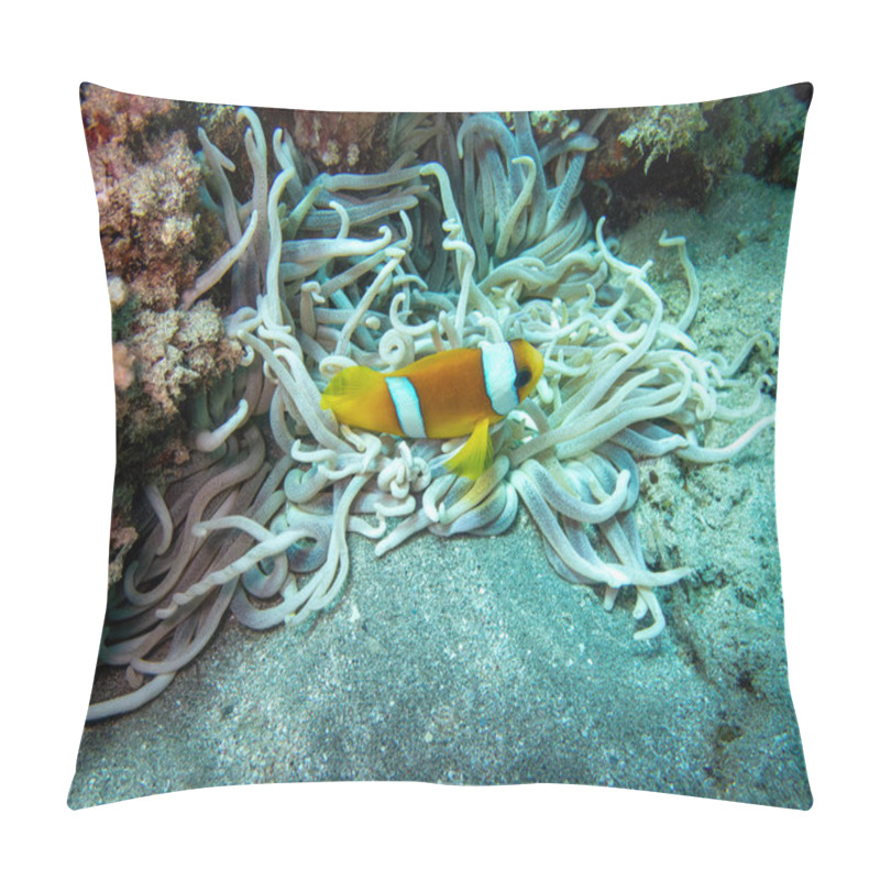 Personality  Coral With Clownfish During A Dive In Bali Pillow Covers