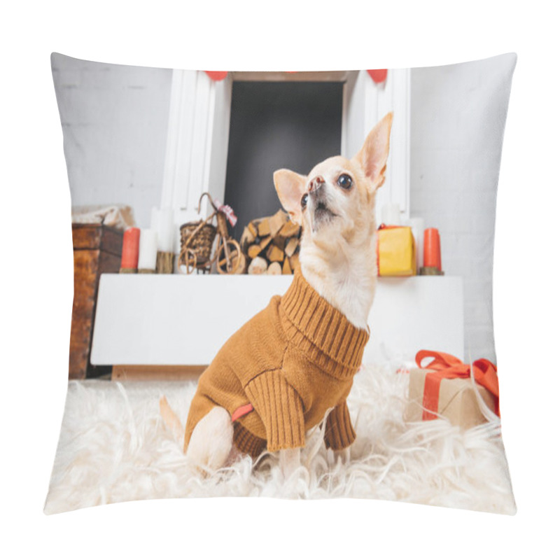 Personality  Adorable Chihuahua Dog In Sweater Sitting On Floor With Christmas Presents Near By Pillow Covers