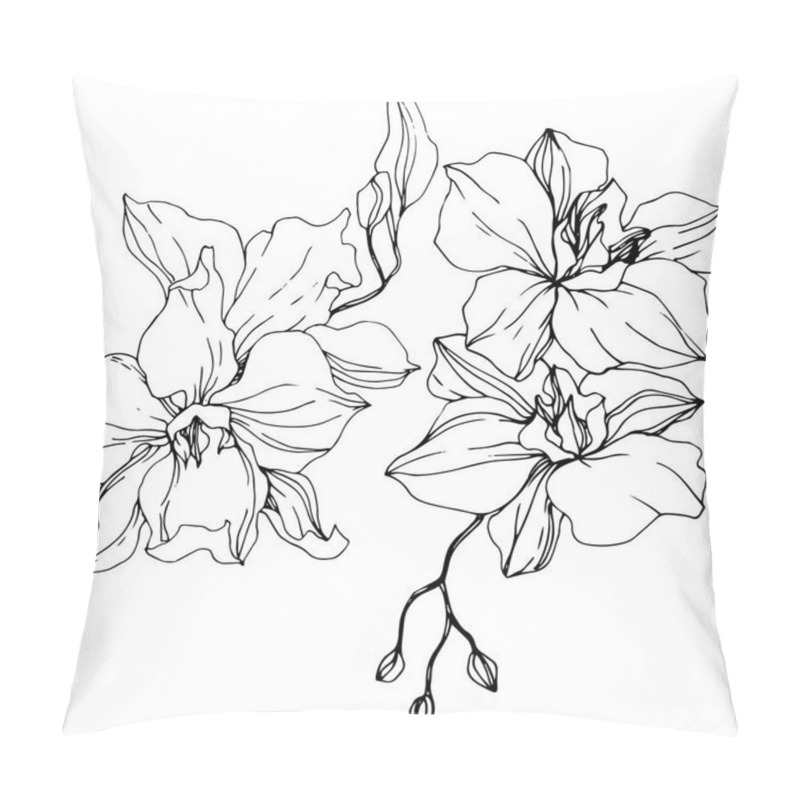 Personality  Beautiful Orchid Flowers. Black And White Engraved Ink Art. Isolated Orchids Illustration Element On White Background. Pillow Covers