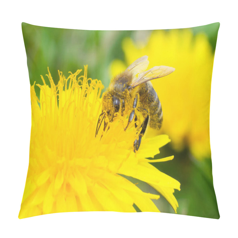 Personality  The Bee Collects Honey Macros Pillow Covers