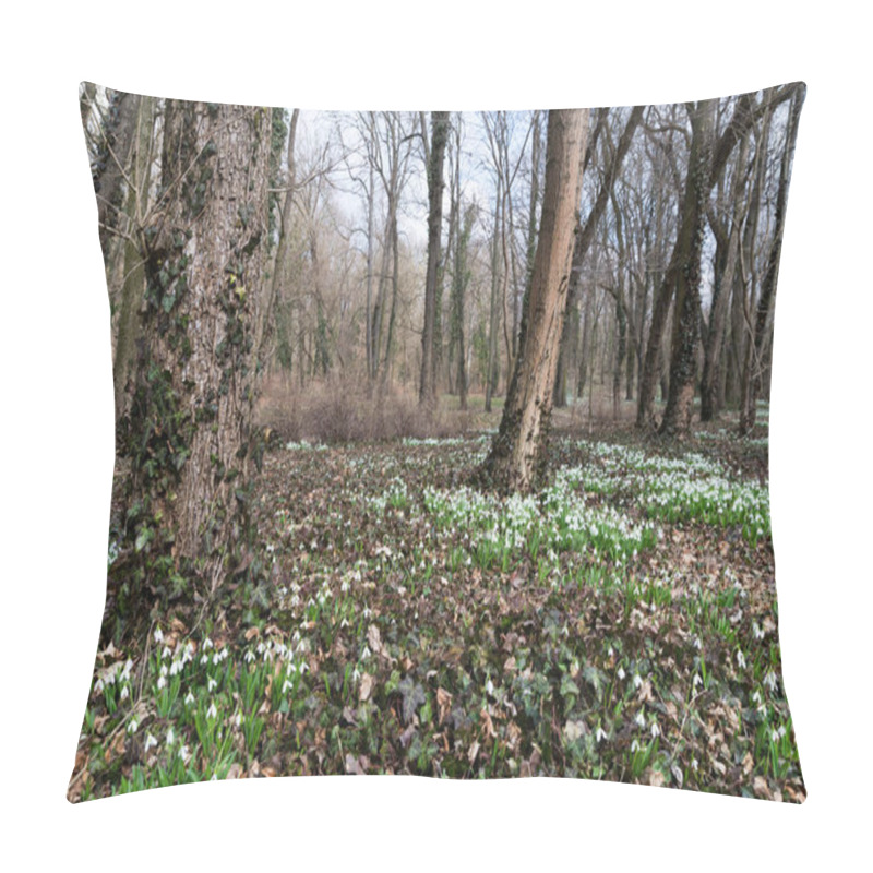 Personality  Beautiful White Snowdrops Pillow Covers