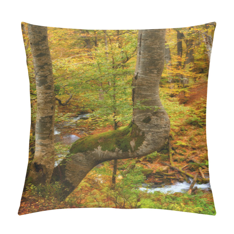 Personality  Embark On A Captivating Journey As A Serene River Gracefully Winds Its Way Through An Enchanting Autumn Forest. The Vibrant Colors Of The Foliage Create A Breathtaking Tapestry, While The Soothing Sound Of The Flowing Water Sets A Peaceful Ambiance. Pillow Covers