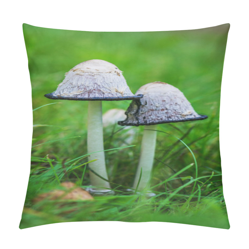 Personality  Coprinus Is Small Genus Of Mushrooms Pillow Covers