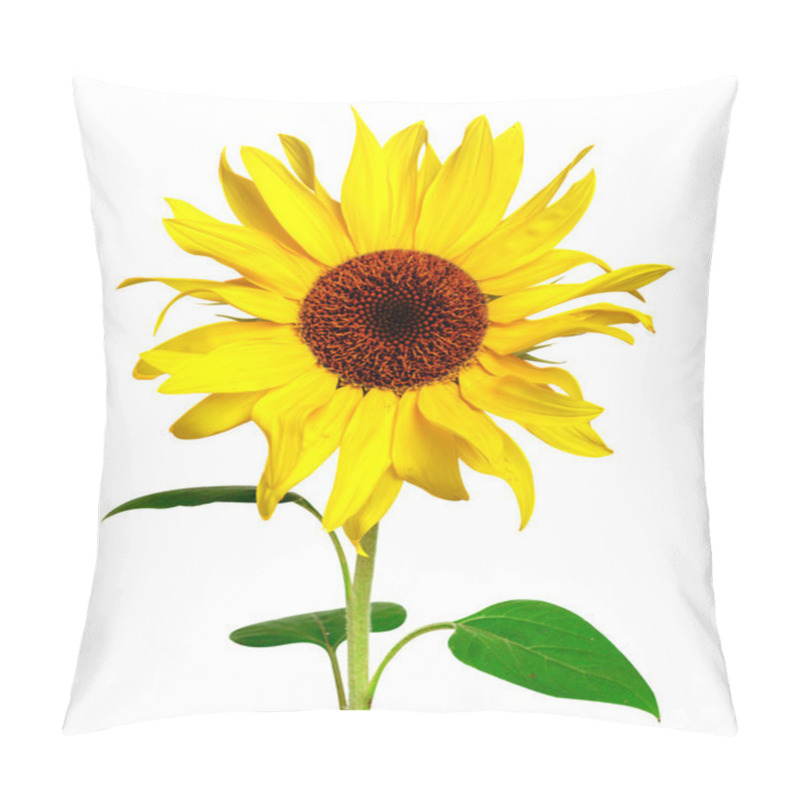 Personality  Yellow Sunflower Isolated On White Pillow Covers