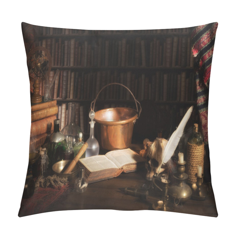 Personality  Alchemist Kitchen Or Laboratory Pillow Covers