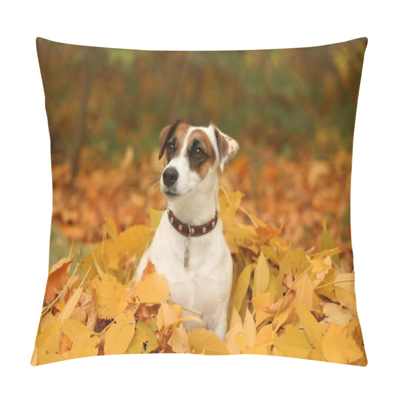 Personality  Cute Funny Dog On Yellow Leaves In Autumn Park Pillow Covers