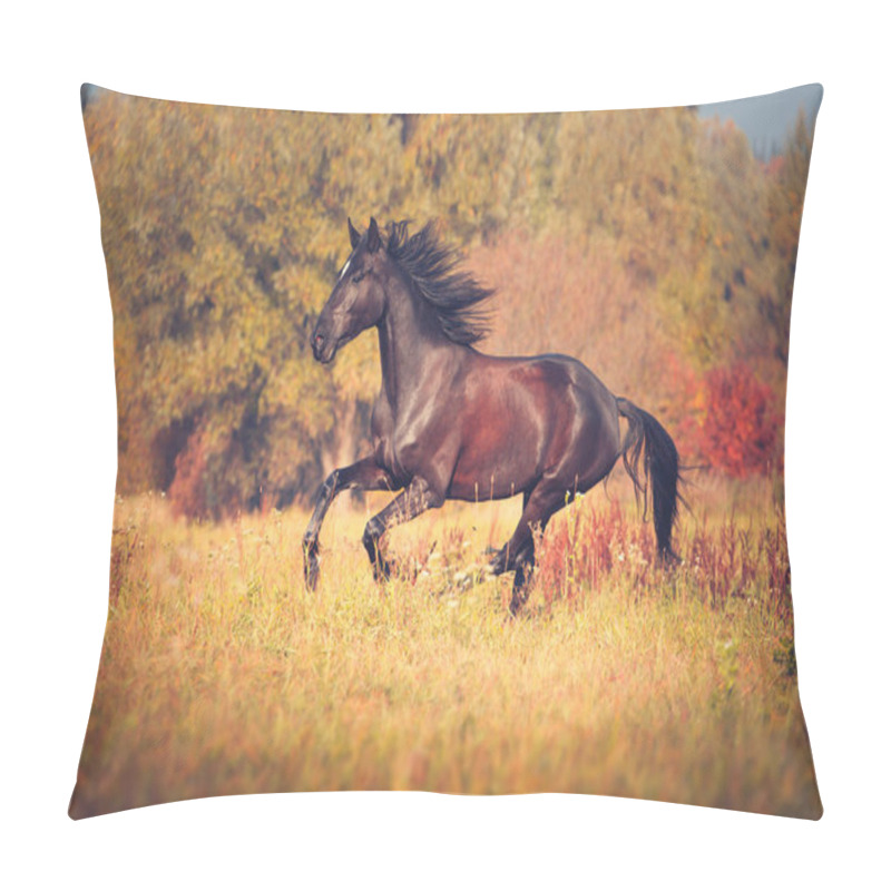 Personality  Black Horse Galloping On The Autumn Nature Background Pillow Covers