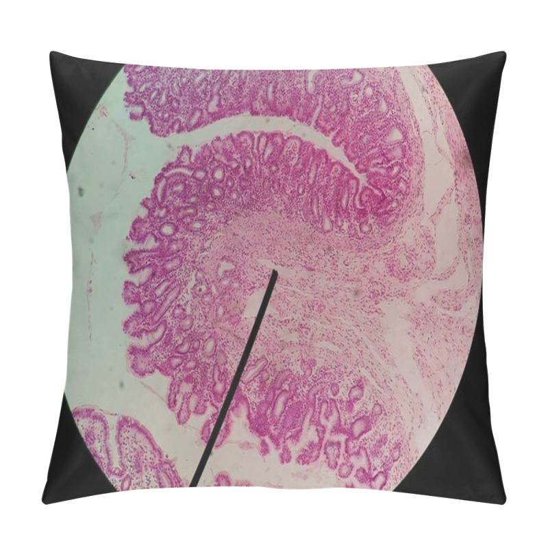 Personality  Close Up Human Cells With Microscope. Pillow Covers