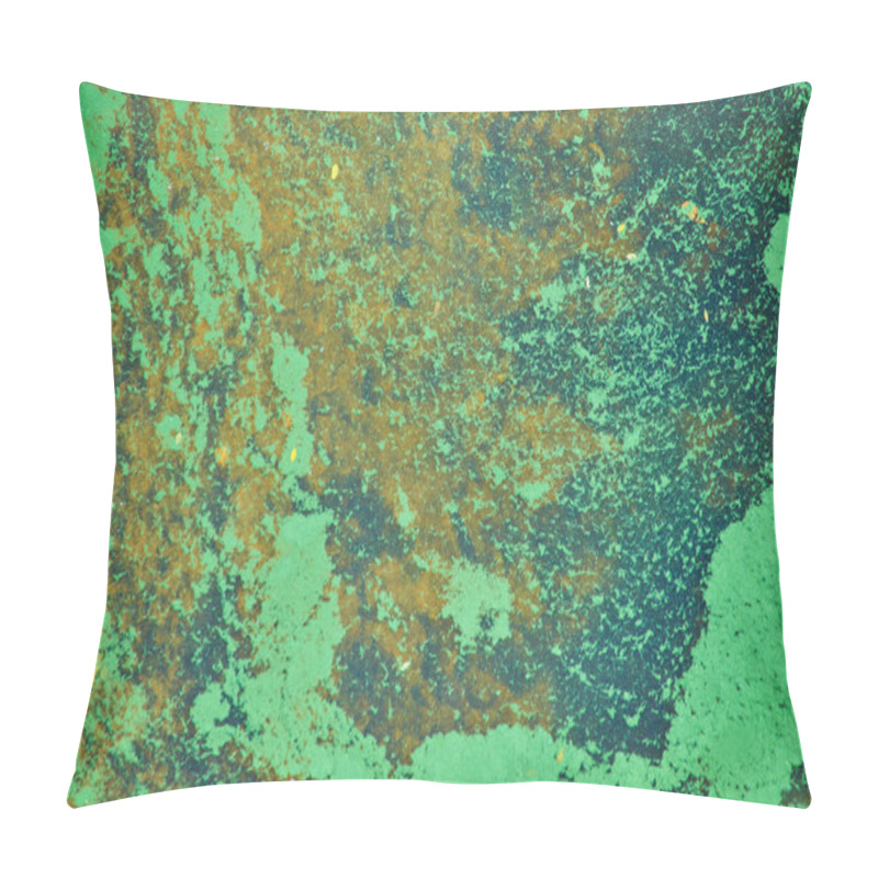 Personality  Green Algae On The Surface Of The Water. Flowering Water As Background Or Texture Pillow Covers