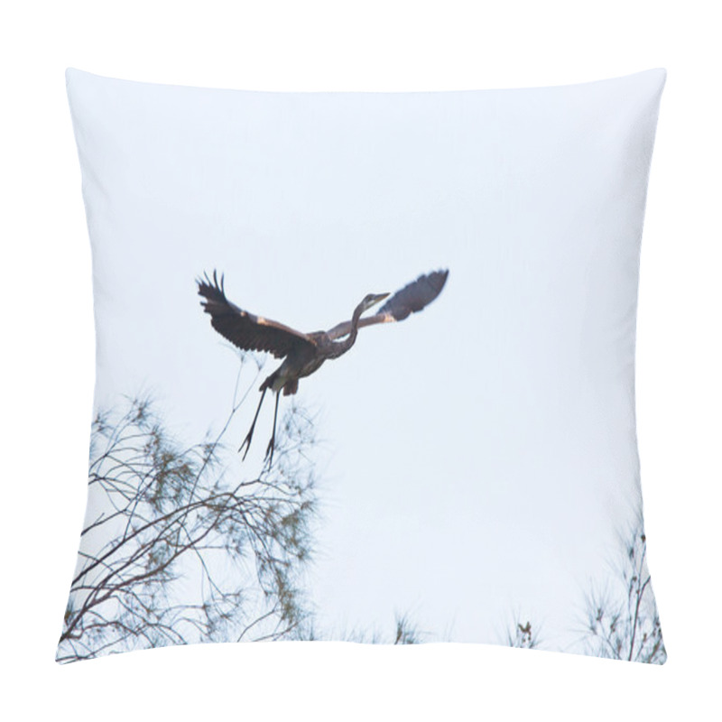 Personality  Great Blue Heron Taking Flight From Florida Tree Pillow Covers