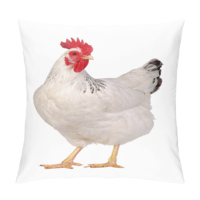 Personality  Chicken Isolated On White. Pillow Covers