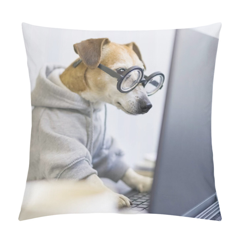 Personality  Adorable Dog Staring Computer Screen.  Concentrated Focused Attentive Scrupulous Nerd Work. Shocked Confused By Information. Freelancer Work From Home During Quarantine Social Distancing Busy. Square Pillow Covers