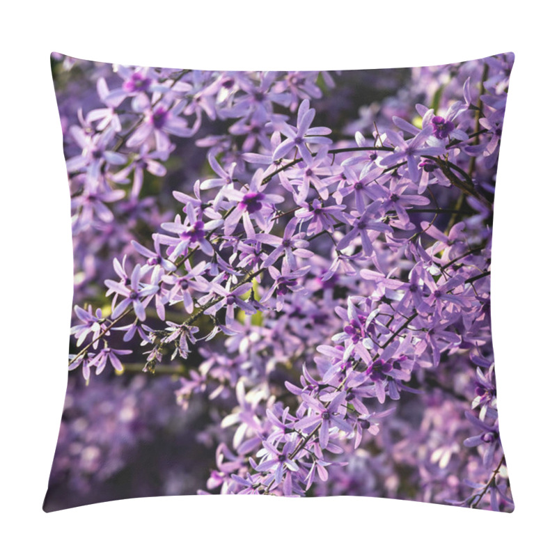 Personality  Petrea Volubilis Is Also Known As Purple Wreath, Queen's Wreath, Or Sandpaper Vine. A Flowering Evergreen That Prefers Full Sun. Pillow Covers